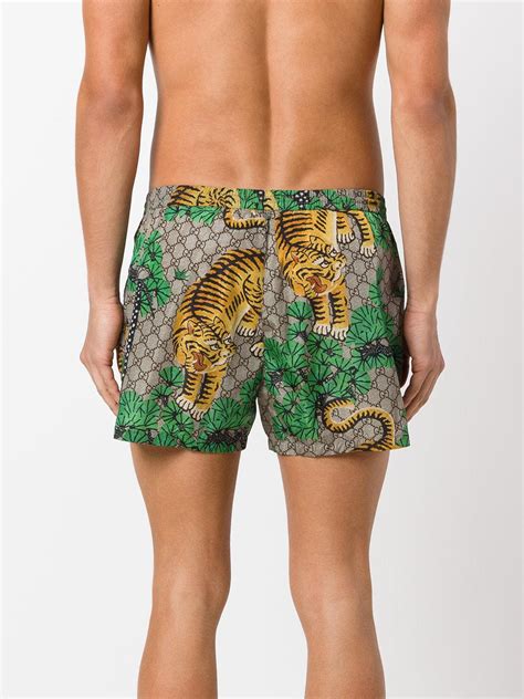 gucci mens bathing suit|gucci bengal swim shorts.